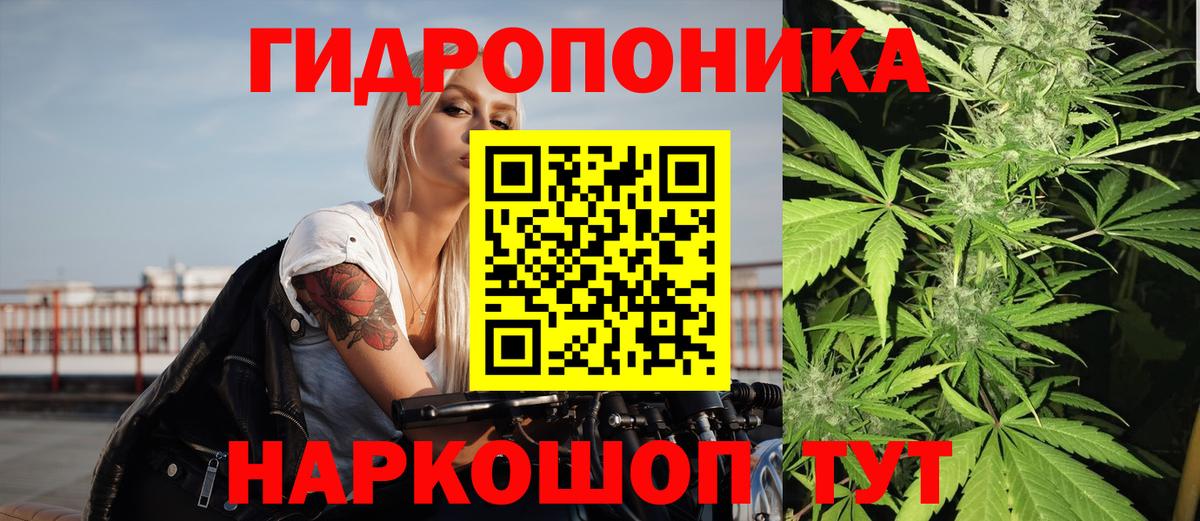 Бошки марихуана конопля  Бошки марихуана марихуана  Бошки Шишки AK-47  Йошкар-Ола  Вход с VPN 